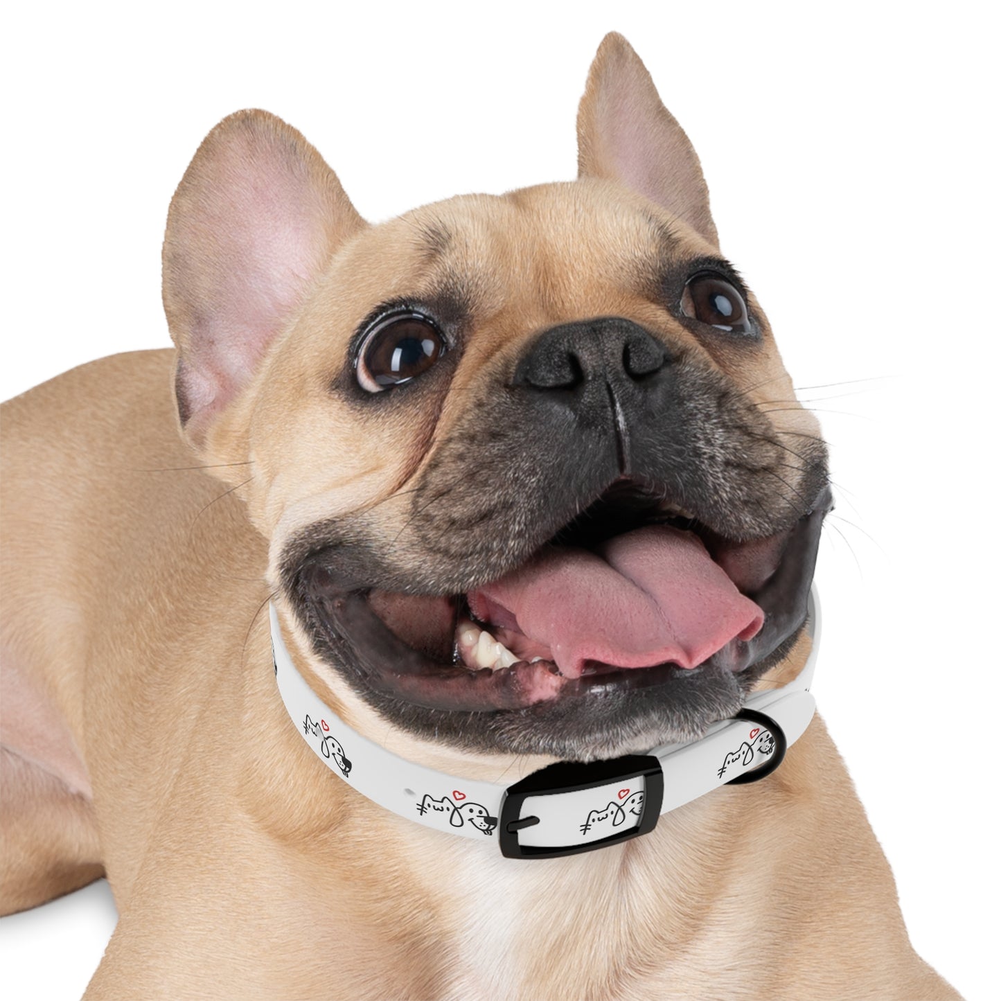 Dog collar