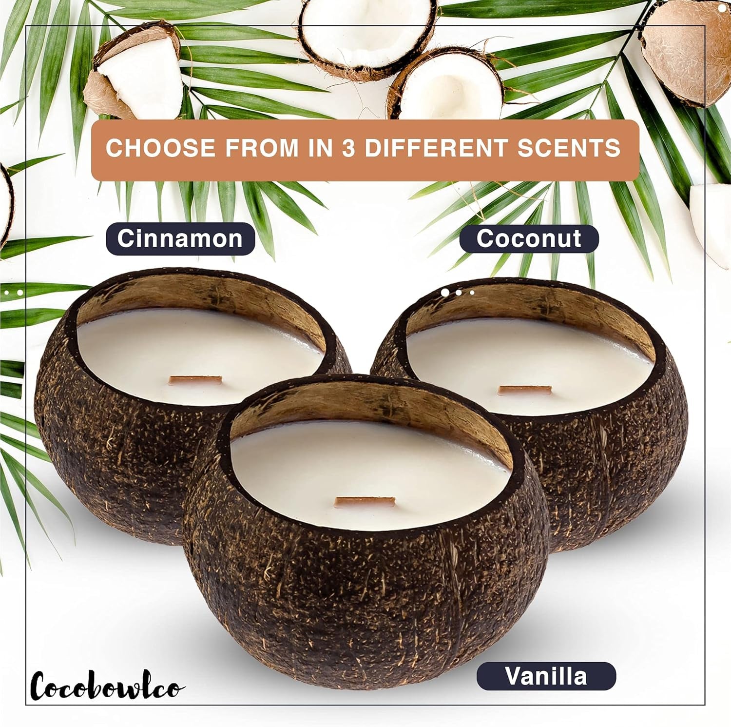 Scented Soy Coconut Shell Candles - Wood Wick Scented Candles Made with Real Coconut Shells (Cinnamon)